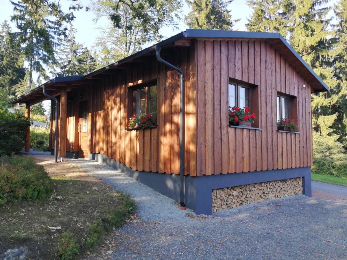 Haus Waldfrieden Apartment Altenberg Ngoại thất bức ảnh